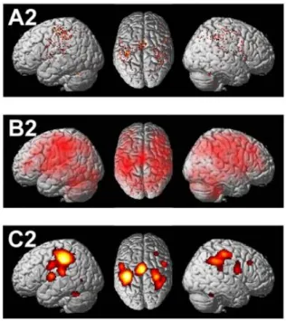 Figure 2.10: A2: individual acti- acti-vation peaks for the finger  tap-ping experiments included in the meta-analysis
