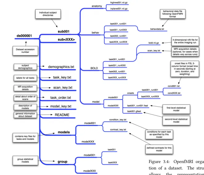 Figure 3.4: OpenfMRI organiza- organiza-tion of a dataset. The structure allows the representation of subjects, tasks, runs, models, as well as the experimental