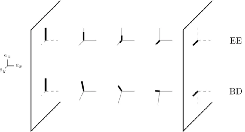 Figure 5.1 – Schematic representation of EE and BD configurations: variations of the eigenframe of Q through the cell