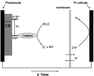 Figure 5: Diagram of a water splitting photochemical cell. 
