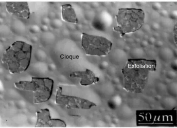 Figure 1.6  Morphologie de la surface d'une plaque de silicium implantée et recuite observée au microscope optique (l'échelle représente 50 µm)