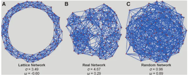 Figure  11  |  Comparison  of  different  networks  based  on  their  large  scale  topological  properties