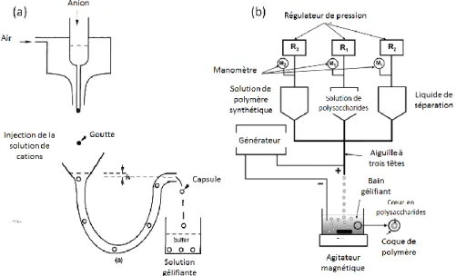 Figure 17 – Automatisation des procédés de production de gouttes en macrosystème a) Système de Lacik  [144], b) Système de Lewinska [145] 
