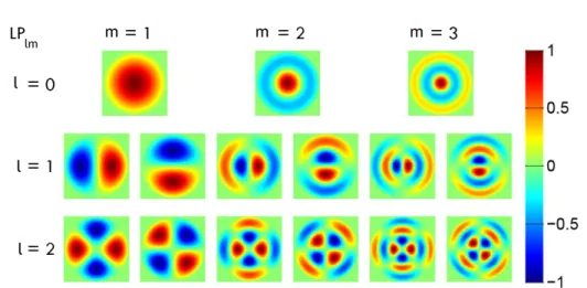 Figure 3.4: Examples of transverse modes LP lm for l = 0, 1, 2 and m between 1 and 3. Image adopted from [74].