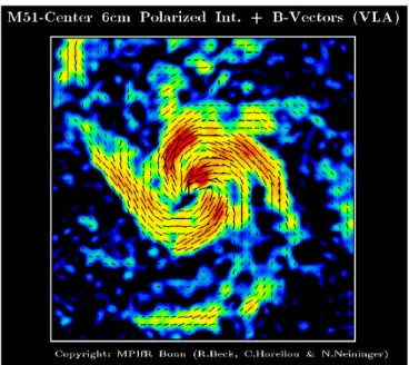 Fig. 1.4 – Image radio de la galaxie M51 à laquelle a été superposé des flèches représentant le champ magnétique interne (image tiré de « Atlas of magnetic fields in nearby galaxies » de R.