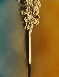 Figure 1.3: Transition to turbulence of the plume of smoke rising from a candle generated by Kelvin-Helmholtz instability.