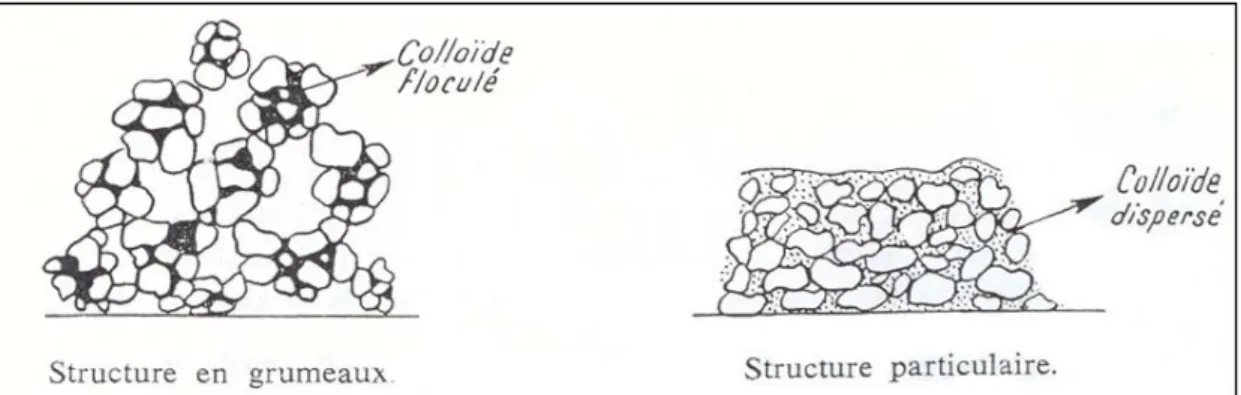 Figure 8 : Schéma des structures d’un même sol, avant et après destruction des agrégats – d’après  Duchaufour 