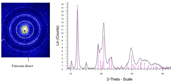 Figure 10 : Spectre diffraction 2D et spectre correspondant intégré, 14 keV, 20x20 µm², ligne verticale :  Goethite (JCPDF 81-464) 
