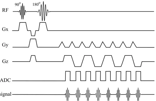 Figure 15  Echo planar imaging pulse sequence timing diagram. A spin echo exitation scheme and an echo train length of 8 are illustrated.