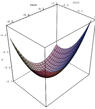 FIG. 9. HK functional of the second toy model in {ρ 2 , ρ 4 } frame.