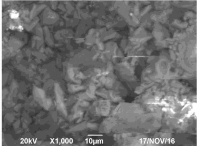 Figure 2 : Photo MEB d’un dépôt de Na 2 CO 3  obtenu  dans les conditions de l’OHT 