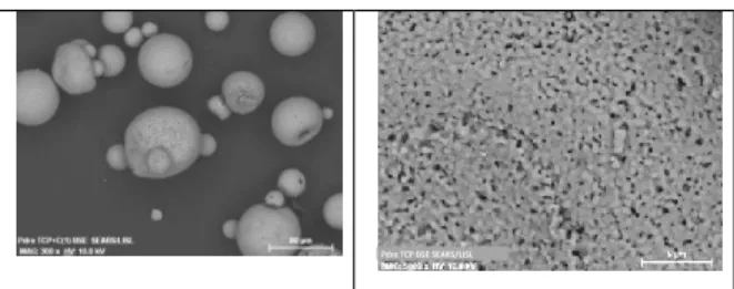 Figure 3: EBM views of the produced powder  The powder is globally spherical with some satellite  with  a  diameter    &lt;100µm