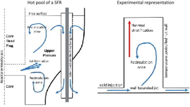Fig. 1: Flow in the hot pool of a SFR (left) and its  simplified experimental representation (right).