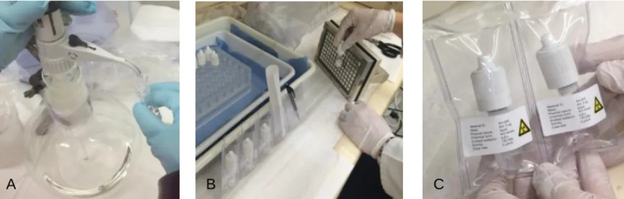 Figure 1: Preparation of  243 Am reference material: dilution and dispensing (A), packing and labelling  (B and C) 