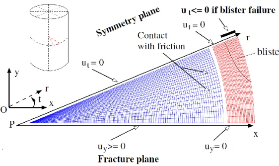 Figure 1 : Mesh and mechanical boundary conditions in the 2D scheme of ALCYONE.  