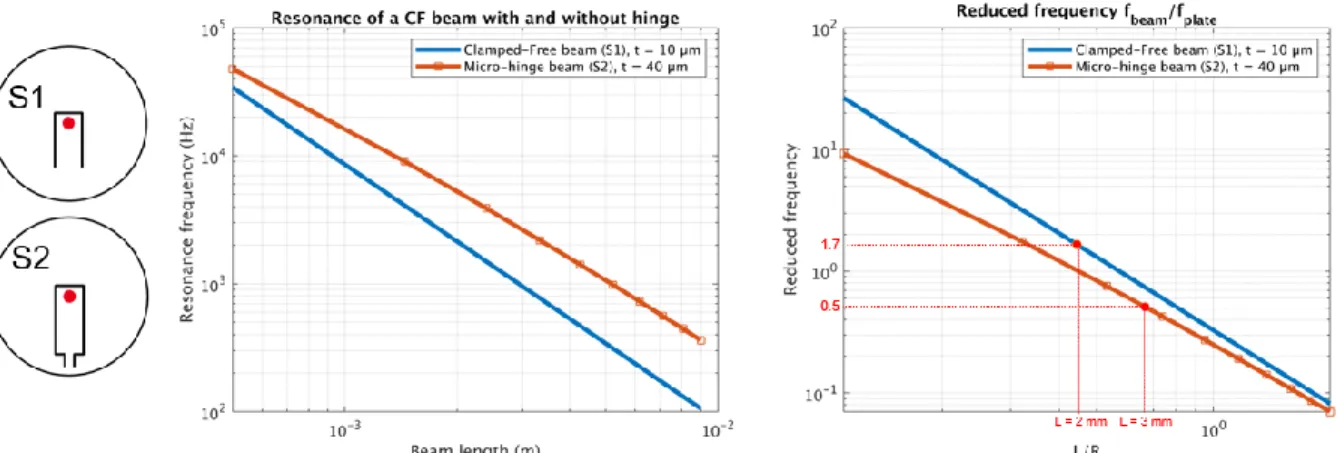 Figure 2. On the left, evolution of the resonance frequency with the length of the beam