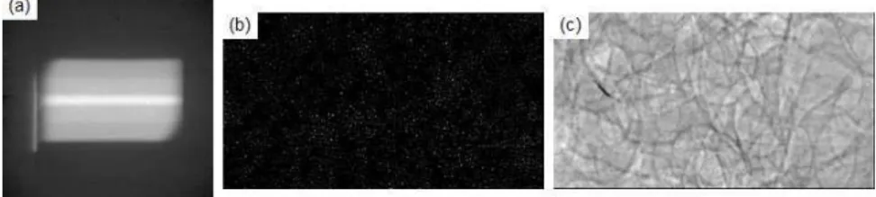 FIG. 4- Image processing for PIV in the liquid  FIG. 5- (a) before detection, (b) interface detection  (pixels coloured in black), (c) vapour detection 