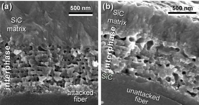 Figure 1. SE SEM images of microcomposites with porous TiC interphases deposited on an unprotected  fiber (a) and on a fiber protected with a SiC layer (b)