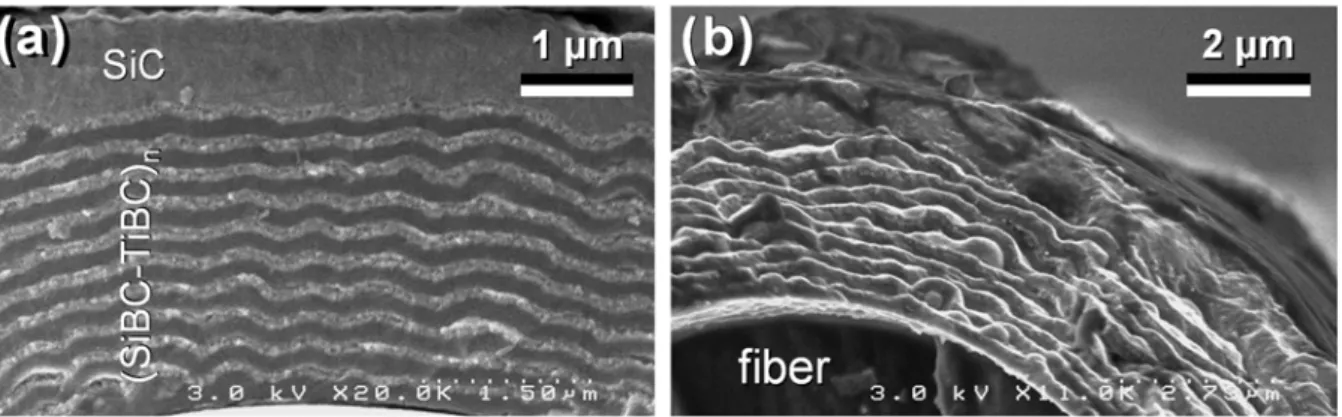 Figure 4. Fracture surface SE SEM images of microcomposites with a PyC interphase and a  (SiBC-TiBC) n -SiC matrix