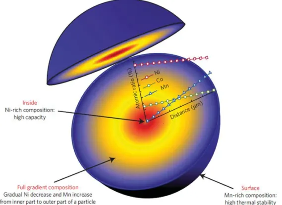 Figure  12 :  Schematic  representation  of  a  spherical  aggregate  for  the  layered  oxide  of  average  composition  LiNi 0.75 Mn 0.15 Co 0.10 O 2  and showing a concentration gradient: that latter implies a decrease in the concentration of  Ni and Co