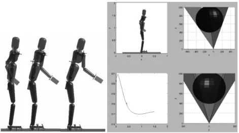 Figure 3.11 : Exemple de mouvement généré considérant deux tâches : le positionnement de la main droite et du centre de masse.