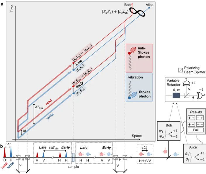 FIG. 1. Conceptual scheme and simplified experimental layout. a, Space-time diagram representation of the time- time-bin entanglement procedure