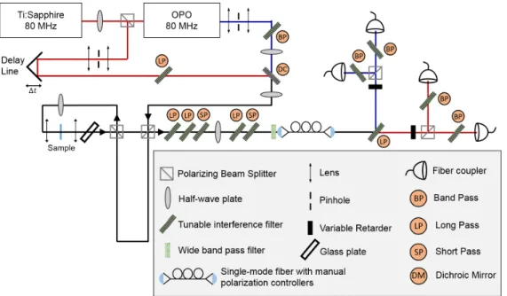 FIG. 3. Experimental Setup