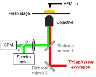 Figure SP3:  Combined TPL and AFM microscopy set-up involving an inverted microscope (Olympus IX71)  coupled to a cantilever type AFM platform (NanoWizard III, JPK) and associated to a femtosecond laser  excitation