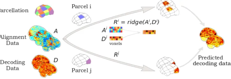 FIG. 3. Intra-subject alignment. Using intra-subject alignment to learn piecewise correlations between a single subject’s alignment and decoding task data
