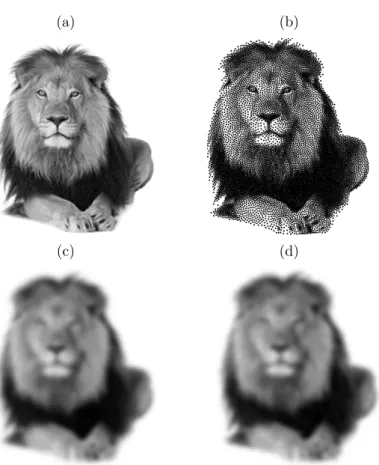 Figure 1: Explanation of the stippling phenomenon. Images (a) and (b) are similar while the norm of their difference is large