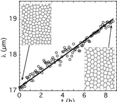 FIG. 4: Direct observation of rod-splitting events. Snapshots of a 65 × 74µm 2 region of a growth pattern taken at time intervals of 7 min