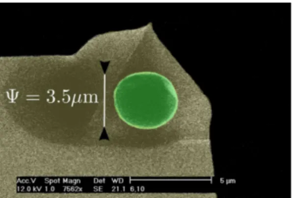 FIG. 5: (Color online) Scanning Electron Microscopy image of the CoFeSi magnetic sphere glued at the tip of an Olympus Biolever.