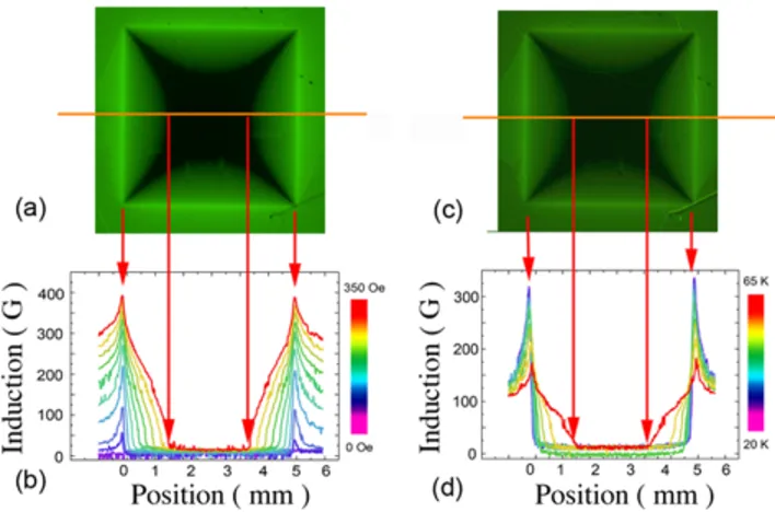 FIG. 4. (Color online) (a) MOI of the flux distribution in the square YBa 2 Cu 3 O 7−δ film at H a = 350 Oe and T = 50 K.