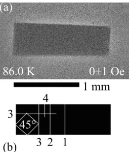 FIG. 2: (a) DMO image of Meissner screening by the initial Bi 2 Sr 2 CaCu 2 O 8+δ single crystal, at 86.0 K and H a = 0; the field modulation ∆H a = 1 Oe