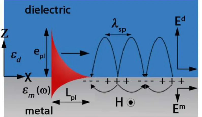 Figure 1.3: Schematic representation of surface plasmon distribution at a metal dielec- dielec-tric interface.