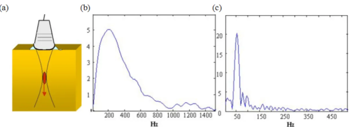 Figure 2.3 (c) presents an example of the frequency response measured by the optical system for a low frequency loudspeaker