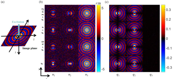 Figure 3.1 represents the 3D dynamic u -field (Figure 3.1 (b) ) and q -field (Fig- (Fig-ure 3.1 (c) ) for f = 200 Hz and SNR = 30 at normal incidence