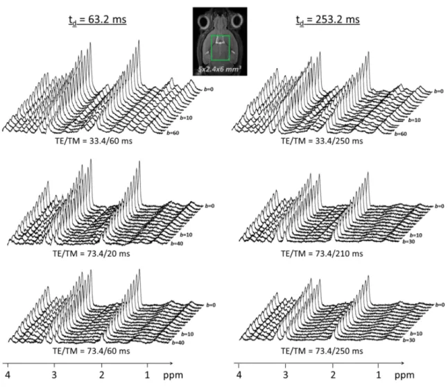 Figure 6-8 : Echantillon de spectres représentatifs de chaque condition de TE/TM. Encart : Image  pondérée en T 2  du cerveau d’une des souris scannées et placement du voxel de 72 µl