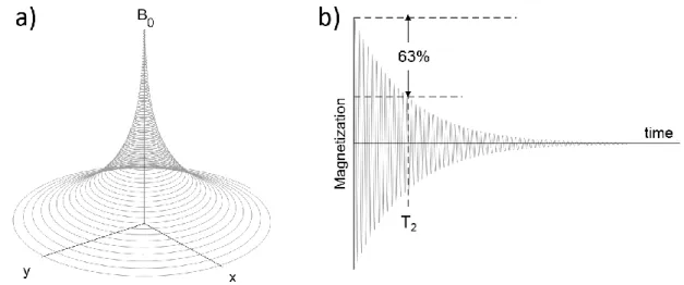 Figure 1.3 : a) Precession of the magnetization vector and b) corresponding signal, showing the T 2