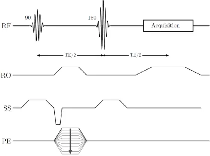 Figure 2.4 : Spin-Echo sequence diagram. The Readout (RO), Slice-Selection (SS) and Phase Encoding  (PE) axis contain gradients to encode the k-space from one TR to the other