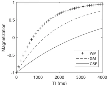Figure 2.8: IR magnetization before excitation according to the inversion time. WM, GM and CSF  exhibit different relaxation times