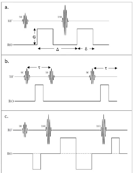 Figure 2.9 : (a) Diffusion-weighted spin echo scheme (Stejskal-Tanner sequence). A pulsed gradient, g,  is introduced in the sequence, either side of the 180° refocusing pulse