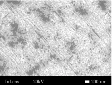 Figure I.30 – Image MEB des domaines (blanc) formés sur la surface d’iridium (noir) après le procédé de BEN