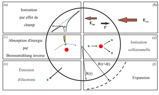 Fig. 2.1 – Sch´ema repr´esentant les processus pris en compte par le mod`ele nanoplasma (L’agr´egat est repr´esent´e par le cercle en trait plein) : l’ionisation par effet de champ (a), la polarisation et le champ `a l’int´erieur de l’agr´egat (b),  l’abso