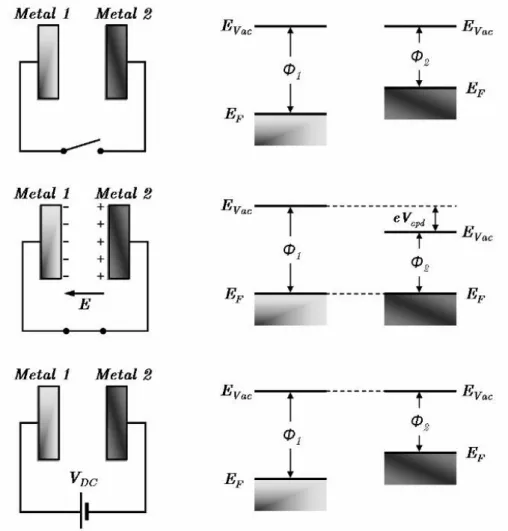 Figure 2.6: Principle of Kelvin Probe method and contact potential difference establishment.