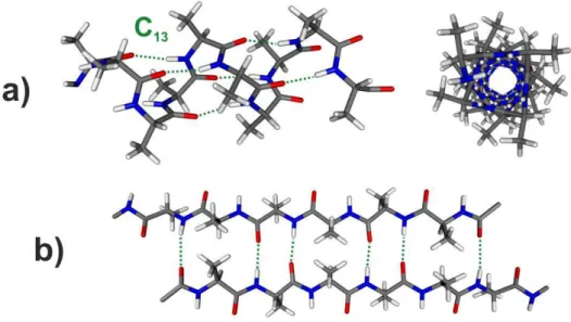 Fig. 1.5 – Schémas de structures secondaires quasi périodiques d’acides aminés alanines et de leur  réseau de liaisons hydrogène : a) hélices  α,  b) feuillet  β  antiparallèle .