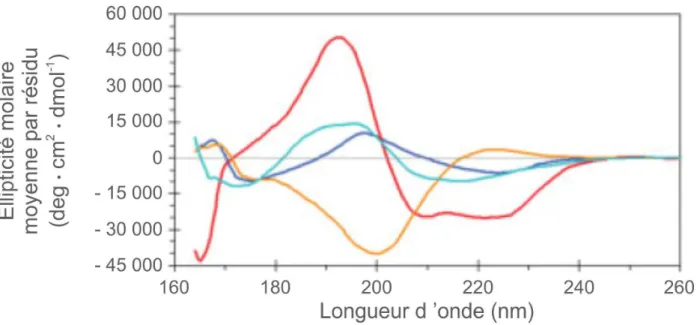 Fig. 1.8 – Spectres de dichroïsme circulaire d’une protéine possédant majoritairement des structures en  hélices  α , la myoglobine (en rouge), de deux protéines possédant majoritairement des structures en  feuillet  β , la concanavaline A (en bleu) et la 