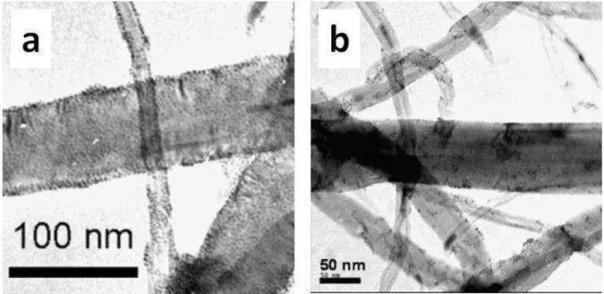 Figure I-9 : Image MET des nanoparticules de platine greffées d’une composante organique  déposées sur les nanotubes avec différents taux de couverture : a) 100 %, b) 10 %  (19) 