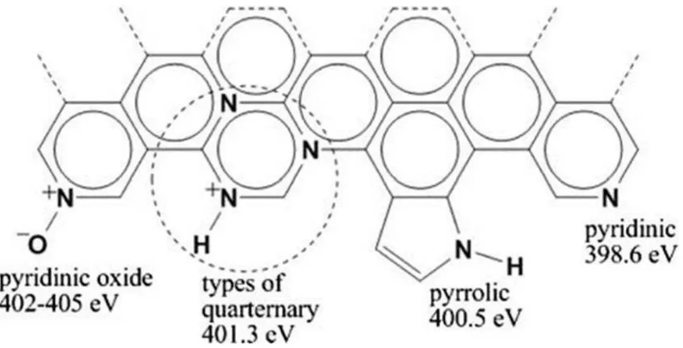 Figure I-12 : Schéma représentant différents types d’azote dans les nanotubes de carbone  azoté  (64) 