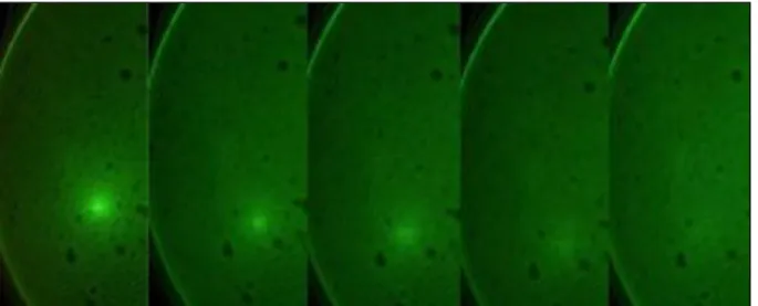 Figure III- 8 : Evolution du spot 1, après l’irradiation avec des ions Xe 14+  à plusieurs fluence : 0 ; 2·10 12  ;  4·10 12  ; 6·10 12  et 10 14  ions/cm 2 